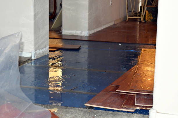 Professional Water Damage technician working in High Hill, MO